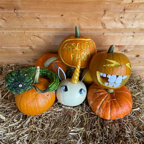 Carved and painted pumpkins on straw at Arscott Farm