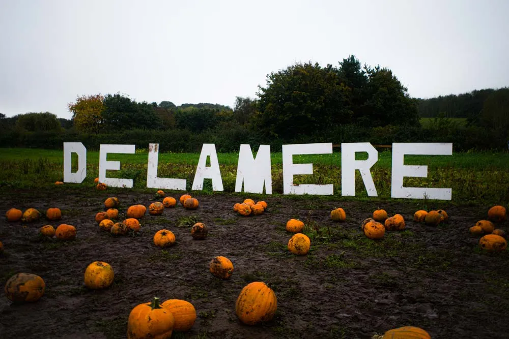 The Delamere sign above the pumpkin field