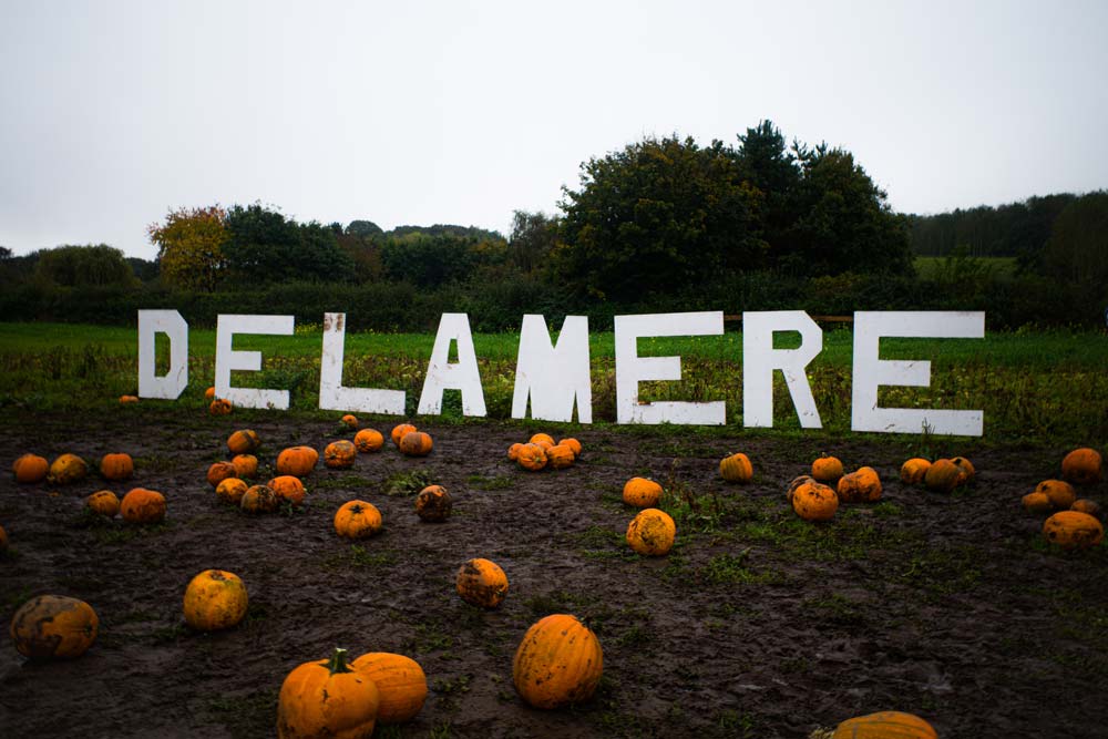 The Delamere sign above a field of pumpkins