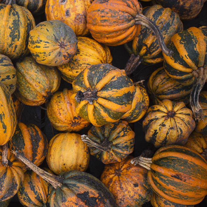 A pile of striped and orange gourds